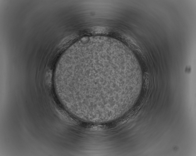 X0000096730550200803041225
