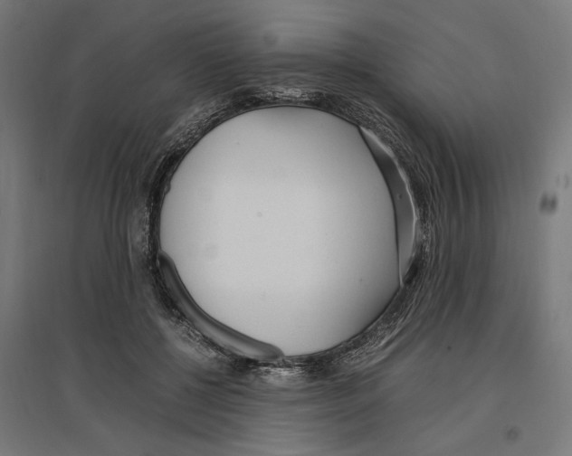 X0000096730552200803041225