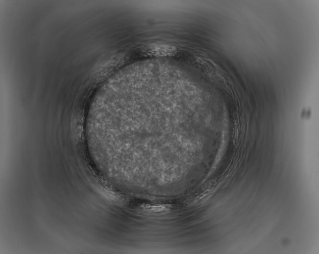 X0000096730553200803041225