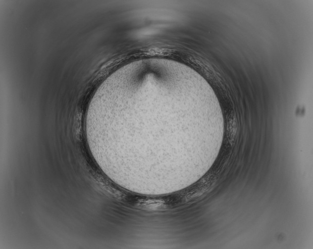 X0000096730554200803041225