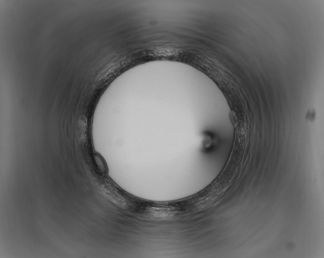 X0000096730556200803041225