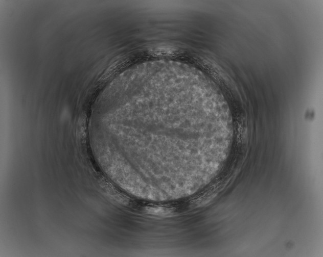 X0000096730561200803041225