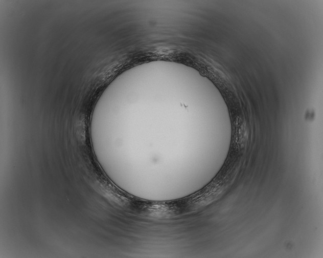 X0000096730562200803041225