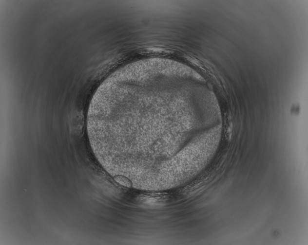 X0000096730563200803041225