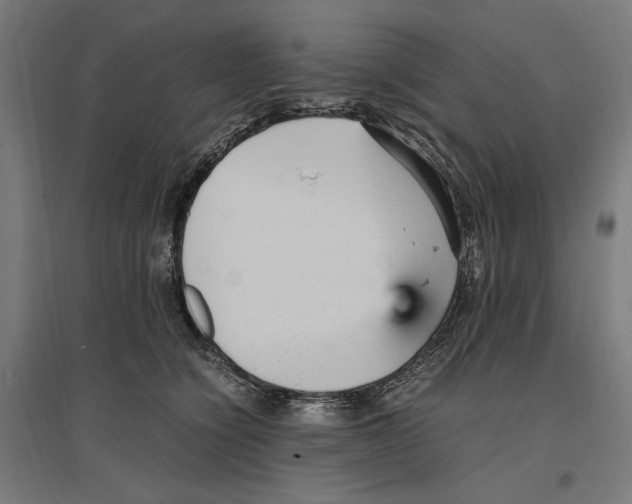 X0000096730564200803041225