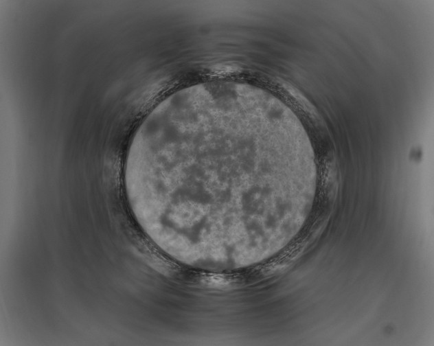 X0000096730565200803041225