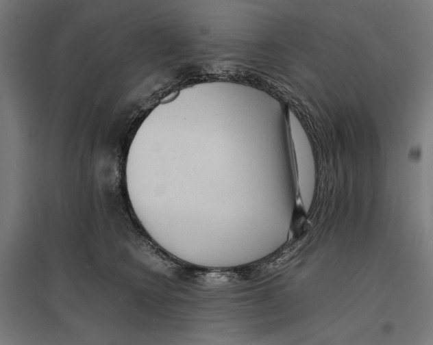 X0000096730566200803041225