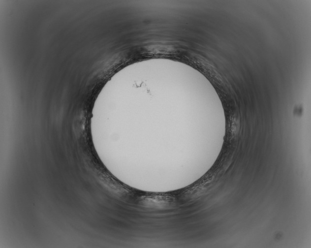 X0000096730567200803041225