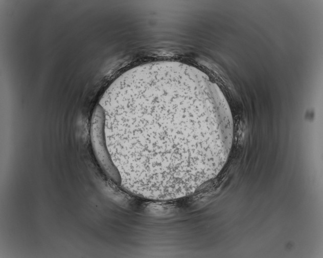 X0000096730568200803041225