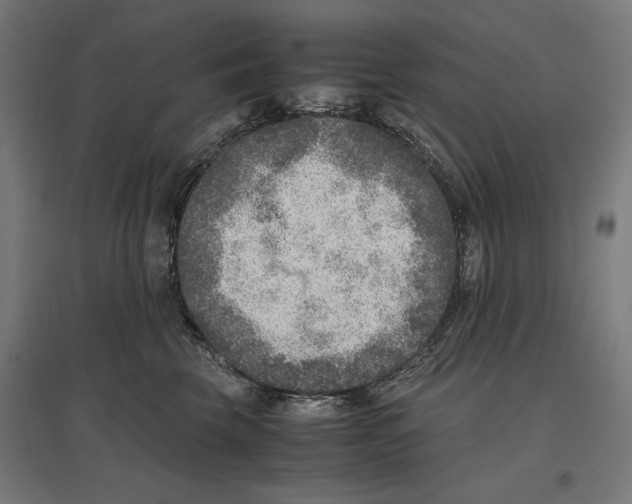 X0000096730569200803041225