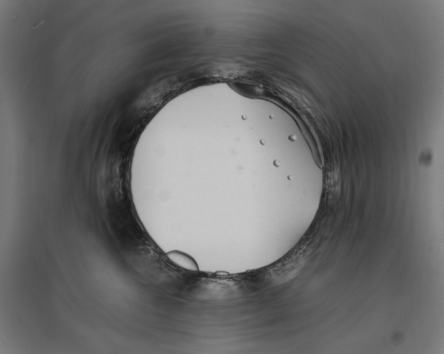 X0000096730572200803041225