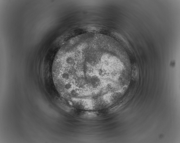 X0000096730573200803041225