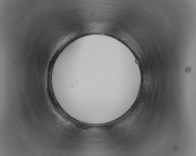 X0000096730578200803041225