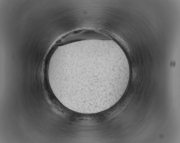 X0000096730580200803041225