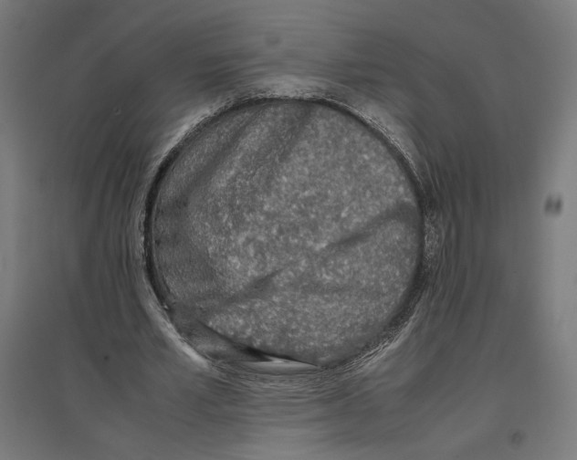 X0000096730581200803041225