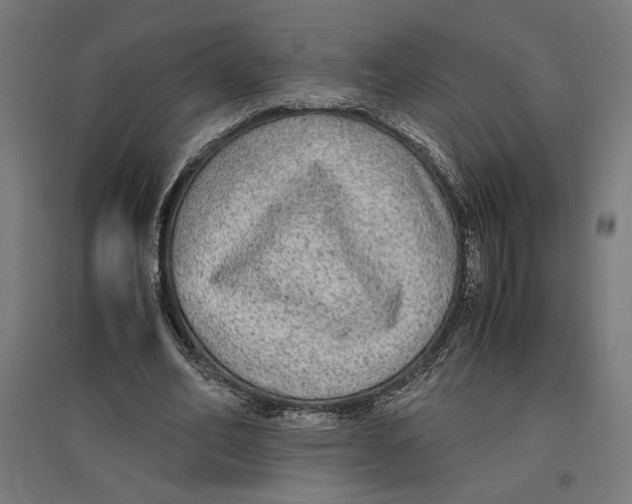 X0000096730582200803041224