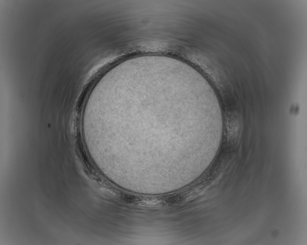 X0000096730583200803041224