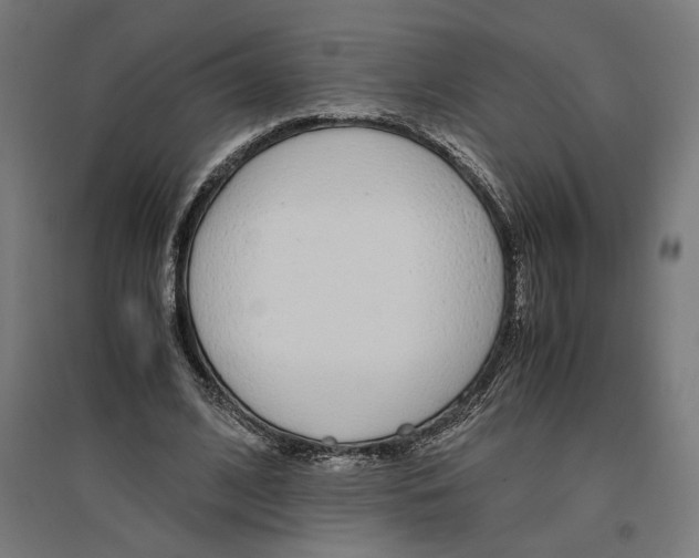 X0000096730584200803041224