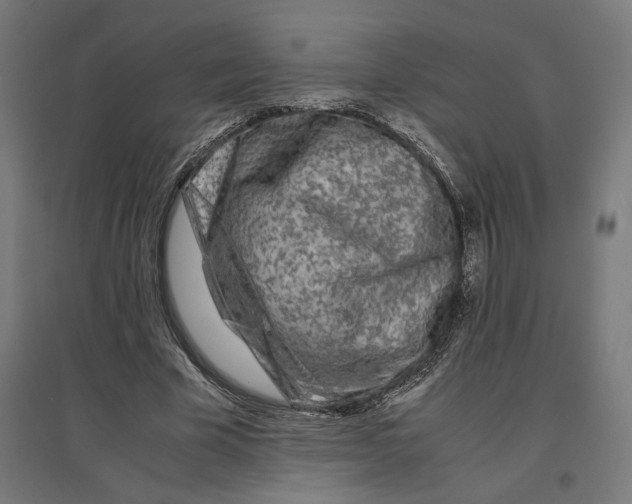 X0000096730585200803041224