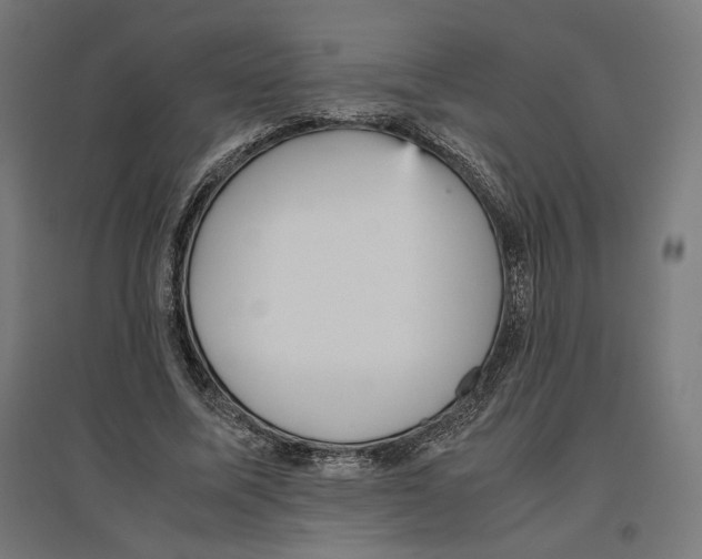 X0000096730587200803041224