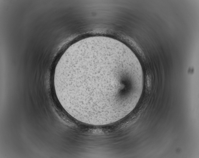 X0000096730588200803041224