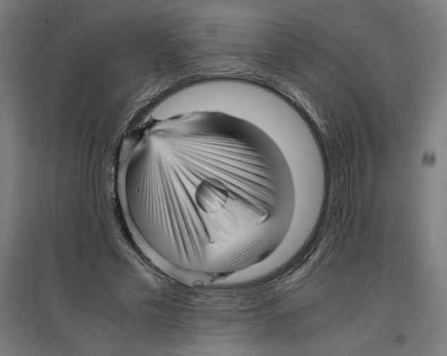 X0000096730589200803041224