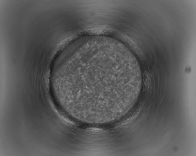 X0000096730590200803041224