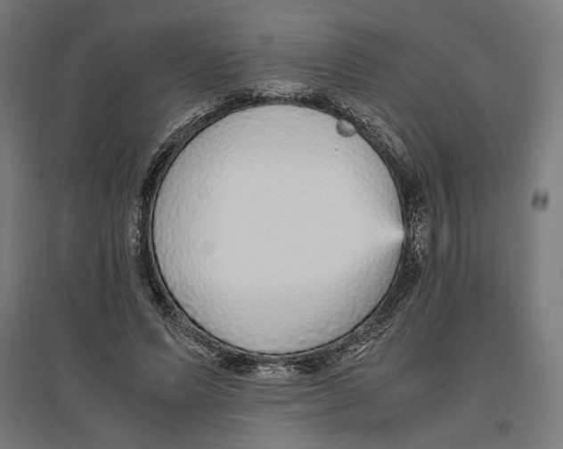 X0000096730591200803041224