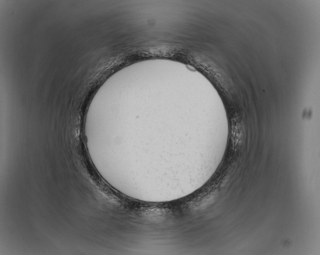 X0000096730593200803041224