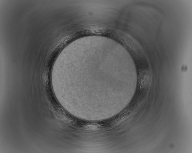 X0000096730595200803041224