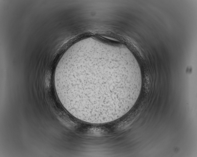 X0000096730596200803041224