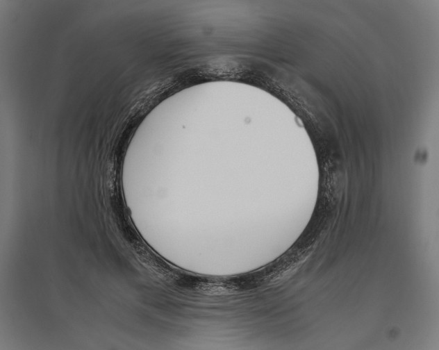 X0000096730597200803041224