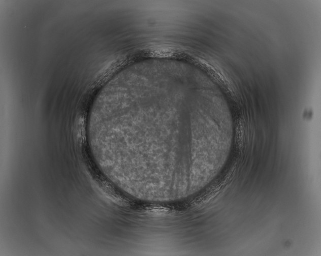 X0000096730598200803041224