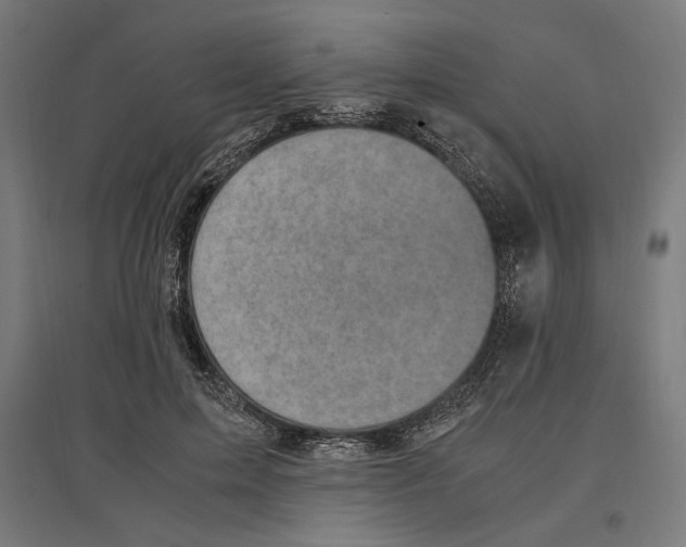 X0000096730599200803041224