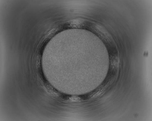 X0000096730603200803041224