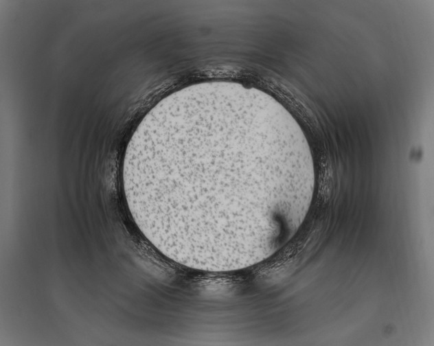 X0000096730604200803041224