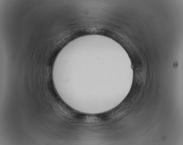 X0000096730605200803041224