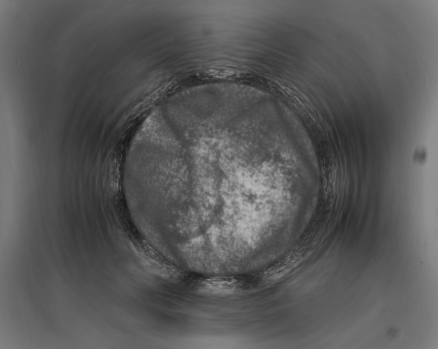 X0000096730606200803041224
