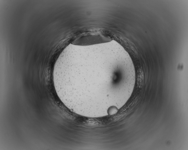 X0000096730608200803041224