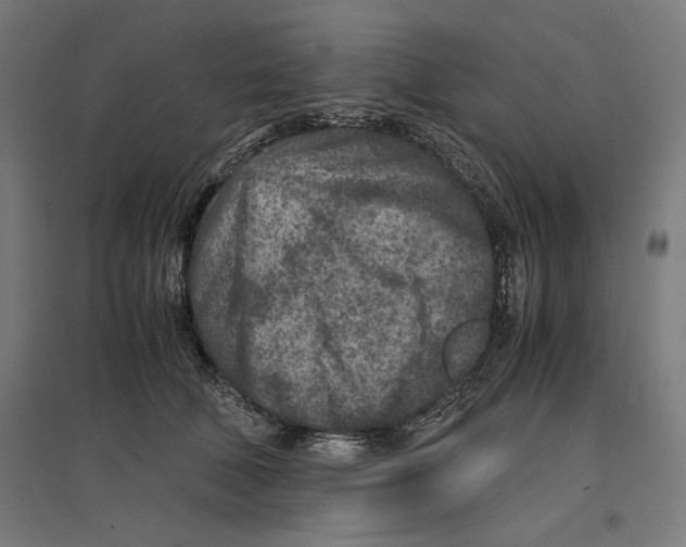 X0000096730610200803041224