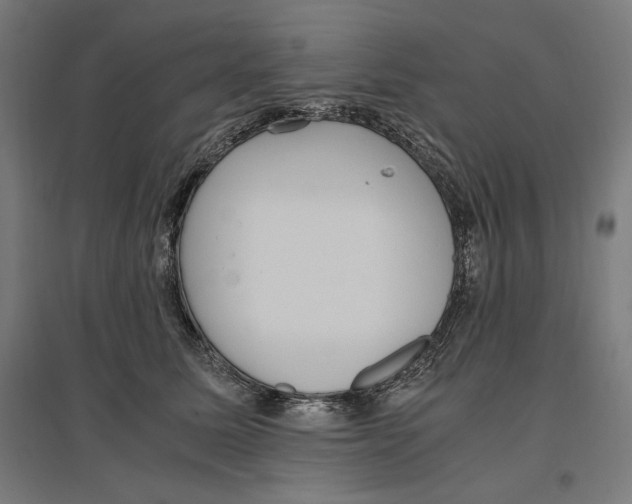 X0000096730611200803041224