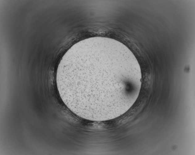 X0000096730612200803041224