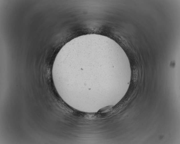 X0000096730613200803041224