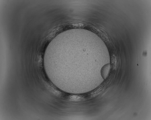 X0000096730614200803041224