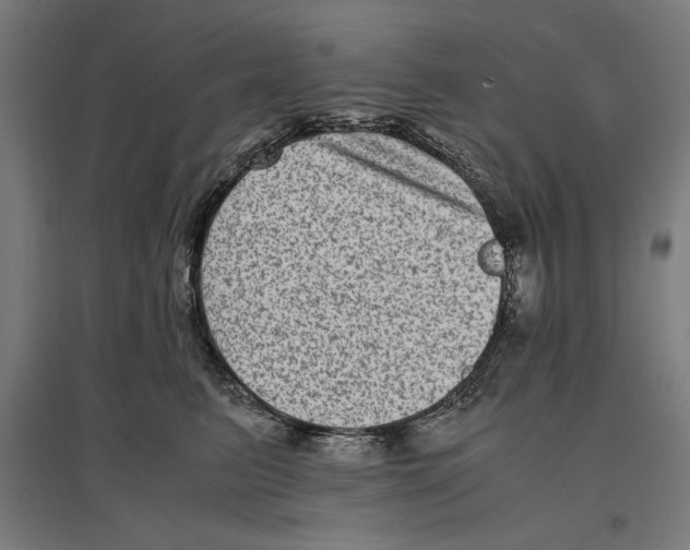 X0000096730615200803041224