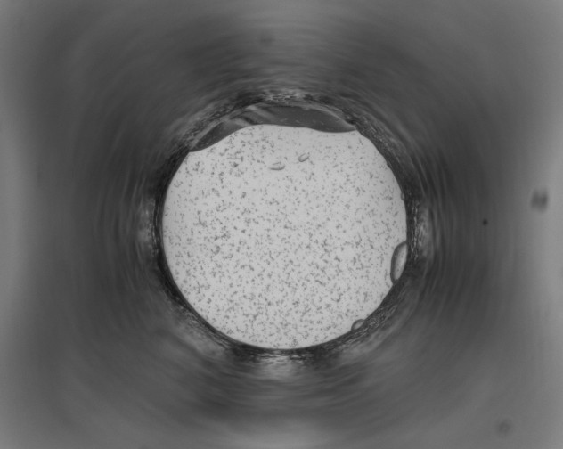 X0000096730616200803041224