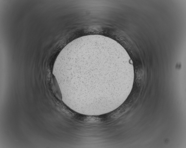 X0000096730617200803041224