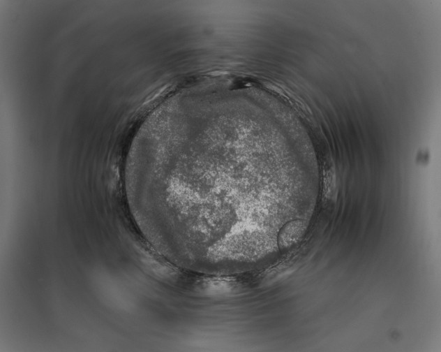 X0000096730618200803041224