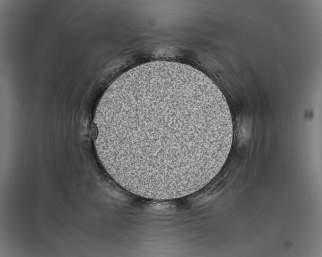 X0000096730619200803041224