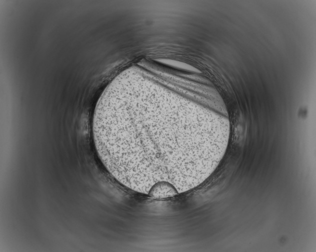 X0000096730620200803041224